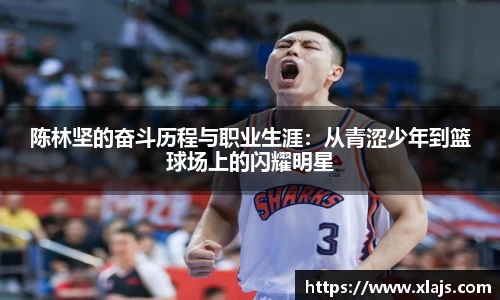 陈林坚的奋斗历程与职业生涯：从青涩少年到篮球场上的闪耀明星